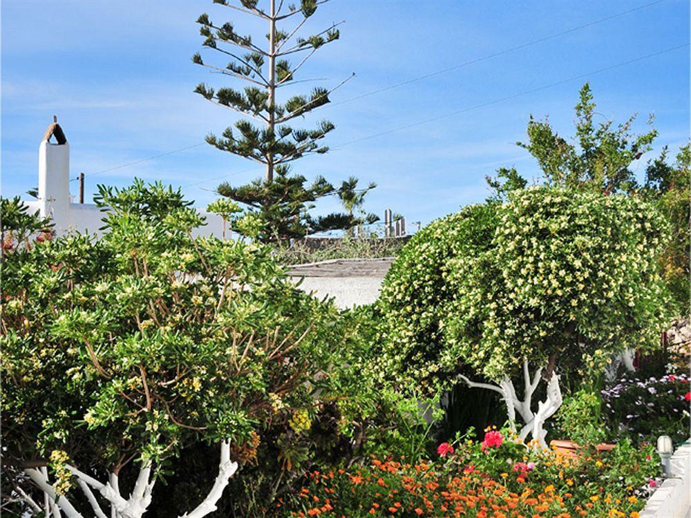 בית הארחה Dimitra Mykonos Town